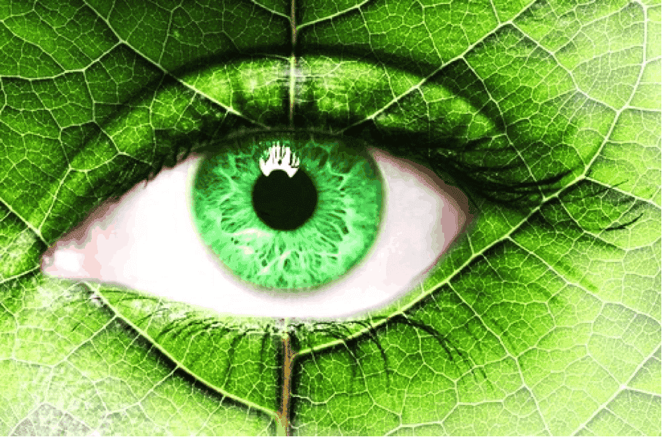 Le 20 mars 2020, un Printemps pas comme les autres