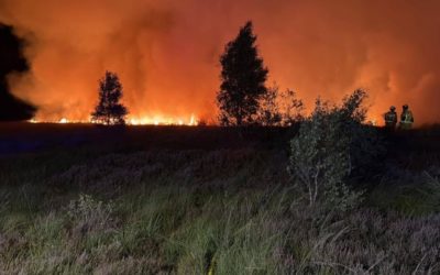 Quand la Terre brûle, que cherche-t-elle à rendre visible en nous ?
